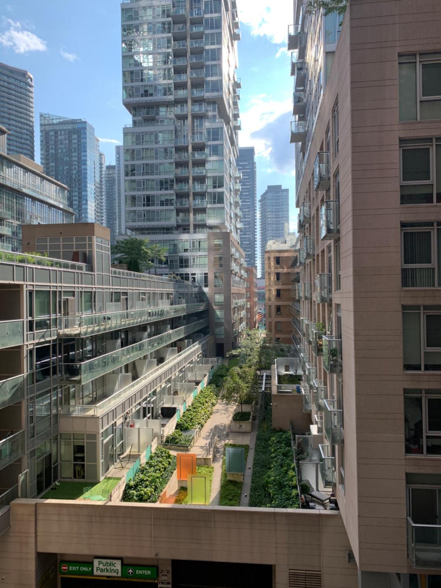 Boutique Suite Of Downtown Τορόντο Εξωτερικό φωτογραφία